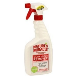 NATURES MIRACLE STAIN & ODOR SPRAY 24 OZ