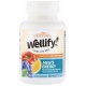 WELLIFY MENS ENERGY TAB 65CT 21ST CENT